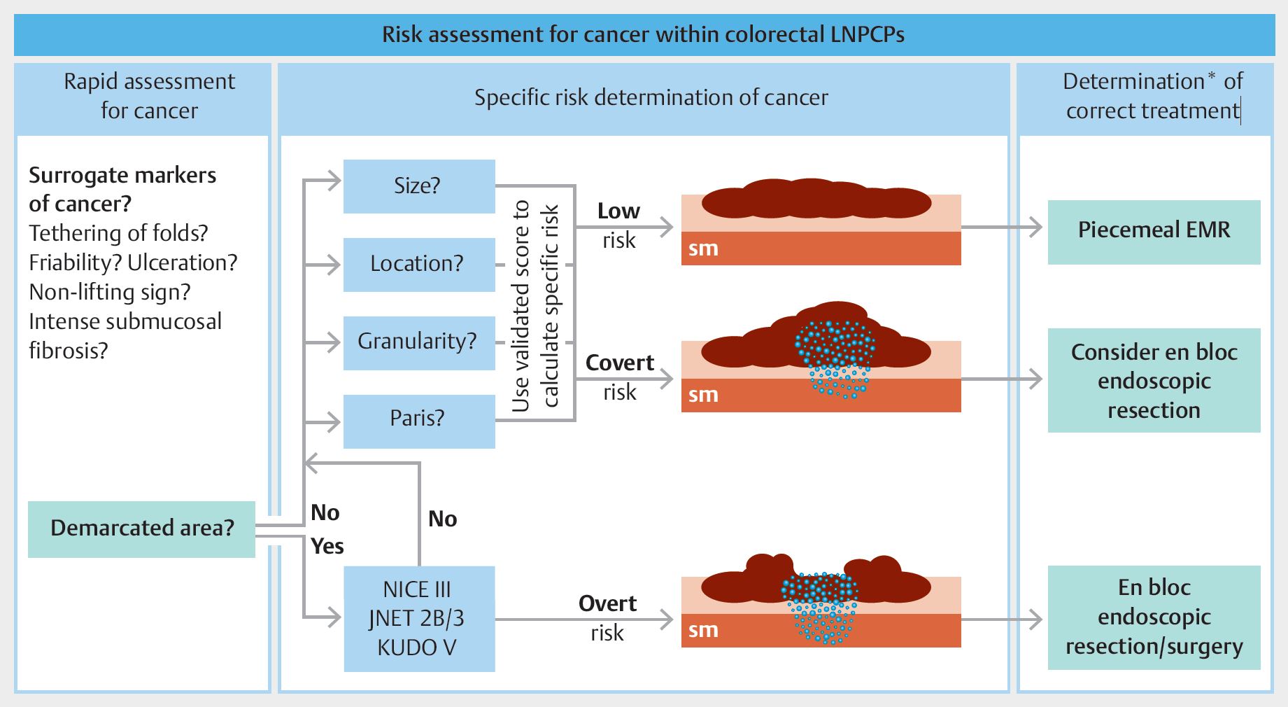 Image Gallery Thieme Endoscopy