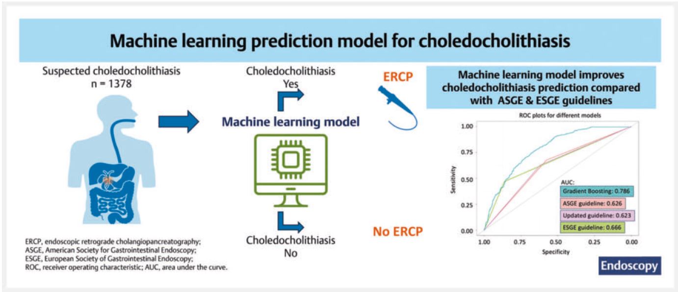 Image Gallery Thieme Endoscopy