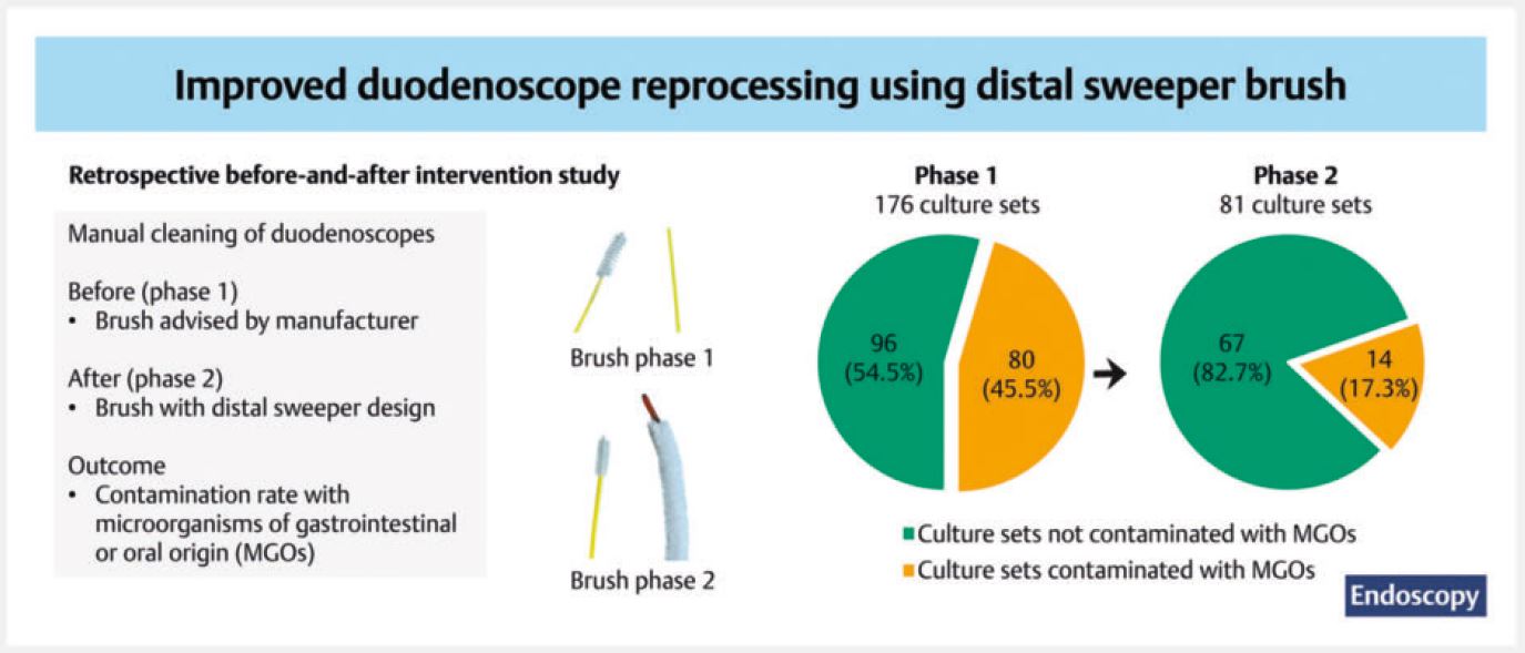 Image Gallery Thieme Endoscopy
